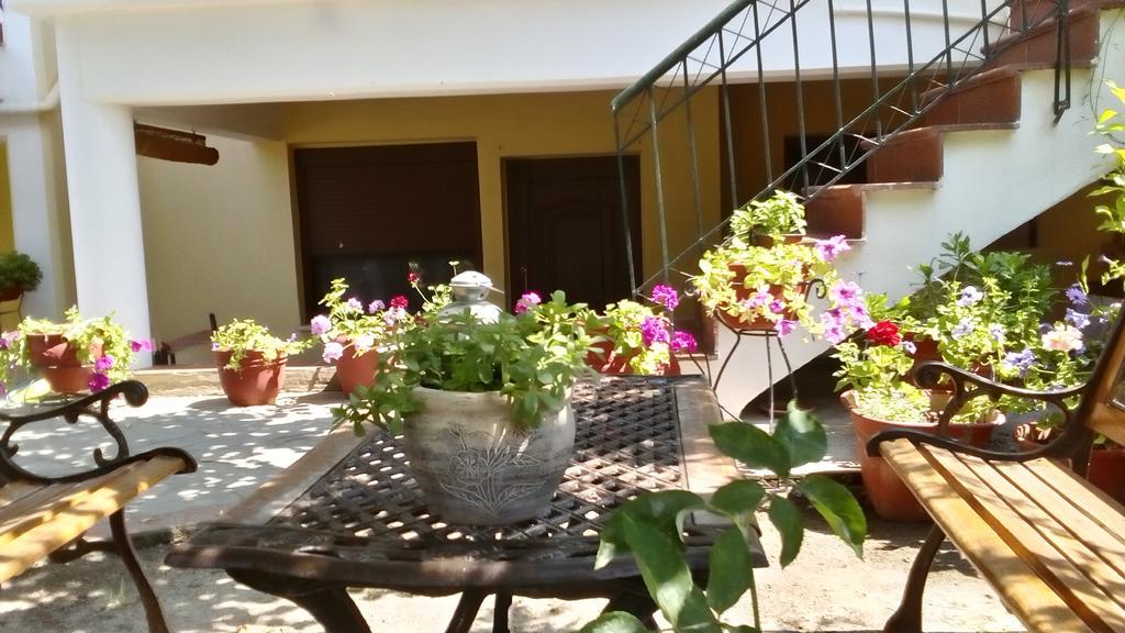 Natalia'S Apartments Nikiti  Zewnętrze zdjęcie